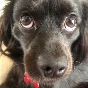 Meet your Posher, Léa